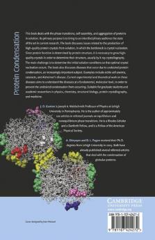 Protein Condensation