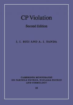 CP Violation