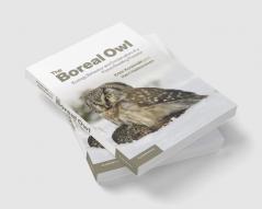 The Boreal Owl