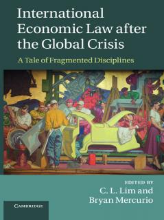 International Economic Law after the Global Crisis