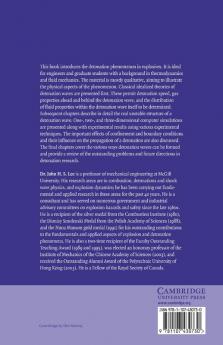 The Detonation Phenomenon