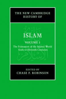The New Cambridge History of Islam