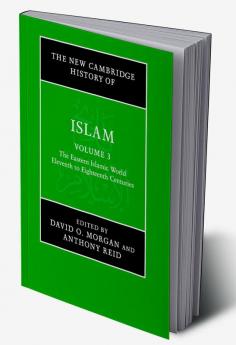 The New Cambridge History of Islam