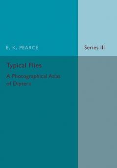 Typical Flies