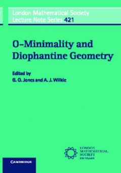 O-Minimality and Diophantine Geometry