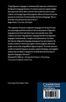 Using Figurative Language