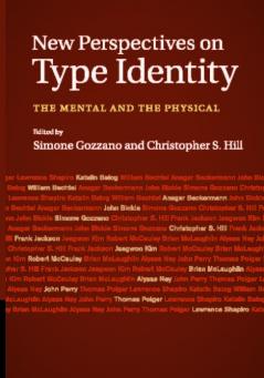 New Perspectives on Type Identity