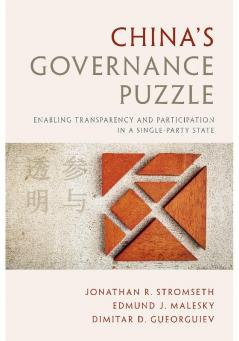 China's Governance Puzzle