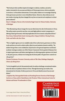 China's Governance Puzzle