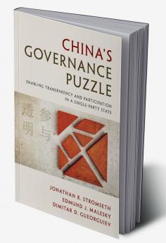 China's Governance Puzzle