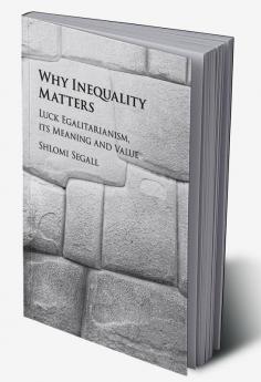 Why Inequality Matters