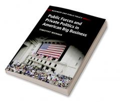 Public Forces and Private Politics in American Big Business