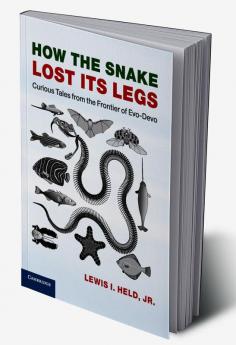 How the Snake Lost its Legs
