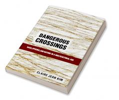 Dangerous Crossings