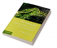 The Amazon from an International Law Perspective