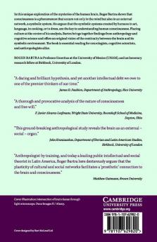 Anthropology of the Brain