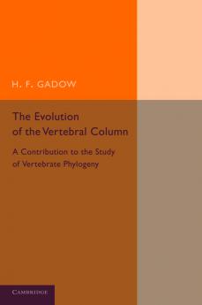 The Evolution of the Vertebral Column
