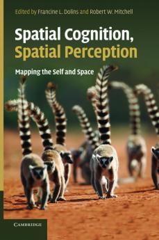 Spatial Cognition Spatial Perception