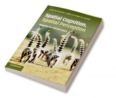 Spatial Cognition Spatial Perception