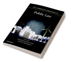 The Cambridge Companion to Public Law