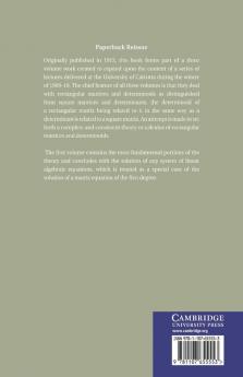 Matrices and Determinoids