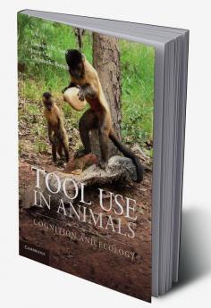 Tool Use in Animals