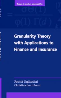 Granularity Theory with Applications to Finance and Insurance