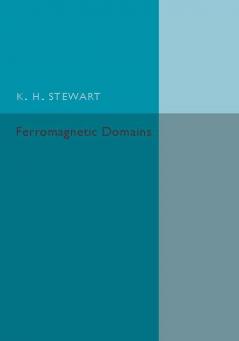 Ferromagnetic Domains