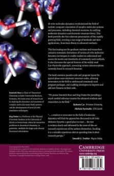 Ab Initio Molecular Dynamics