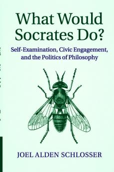 What Would Socrates Do?