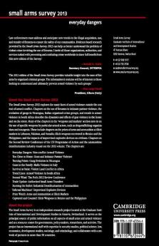 Small Arms Survey 2013