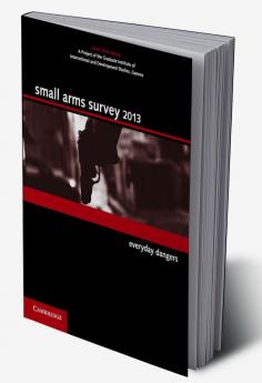 Small Arms Survey 2013