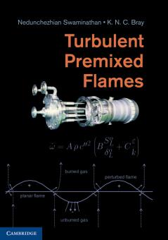 Turbulent Premixed Flames