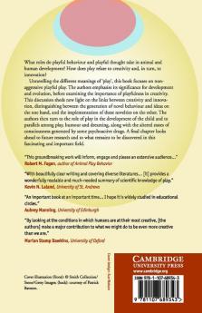 Play Playfulness Creativity and Innovation
