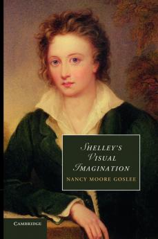 Shelley's Visual Imagination