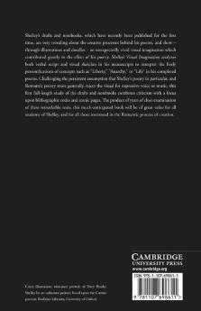 Shelley's Visual Imagination