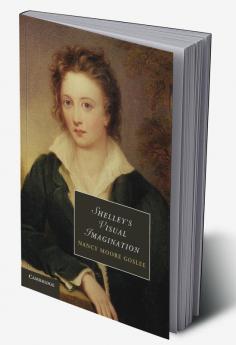 Shelley's Visual Imagination