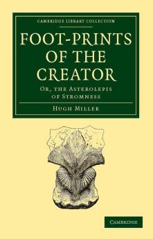 Foot-Prints of the Creator