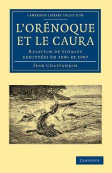 L'Or Noque Et Le Caura