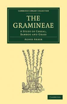 The Gramineae