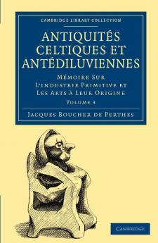 Antiquites Celtiques Et Antediluviennes - Volume 3