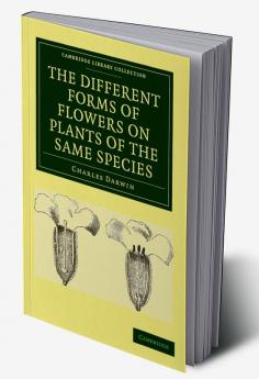 The Different Forms of Flowers on Plants of the Same Species