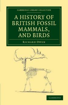 A History of British Fossil Mammals and Birds