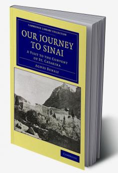 Our Journey to Sinai