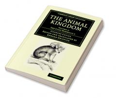 The Animal Kingdom - Volume 3