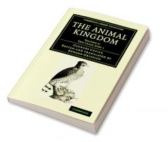 The Animal Kingdom - Volume 6
