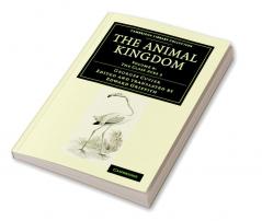 The Animal Kingdom - Volume 8