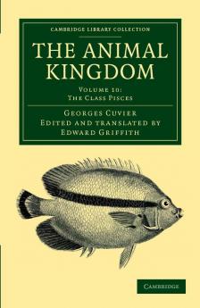The Animal Kingdom - Volume 10