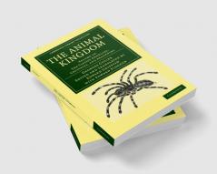 The Animal Kingdom - Volume 13