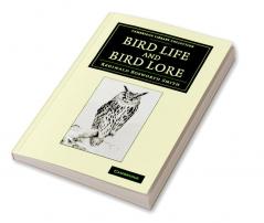Bird Life and Bird Lore